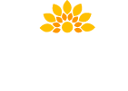 Wessex Solar Energy
